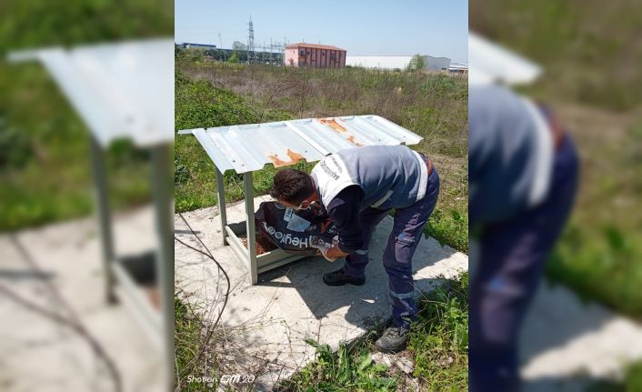 Başiskele’de sokak hayvanlarına mama bırakıldı