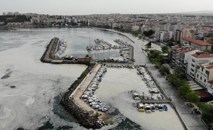 Çanakkale Boğazı deniz salyası ile kaplandı