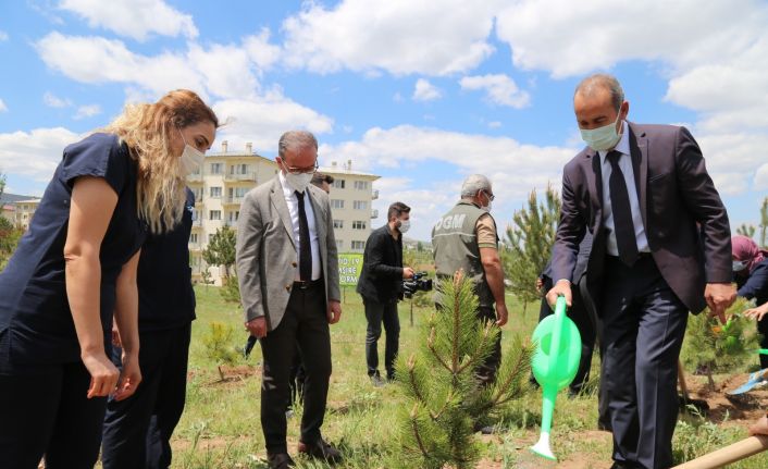 Covid-19 ’la mücadelenin kahramanlarına hatıra ormanı