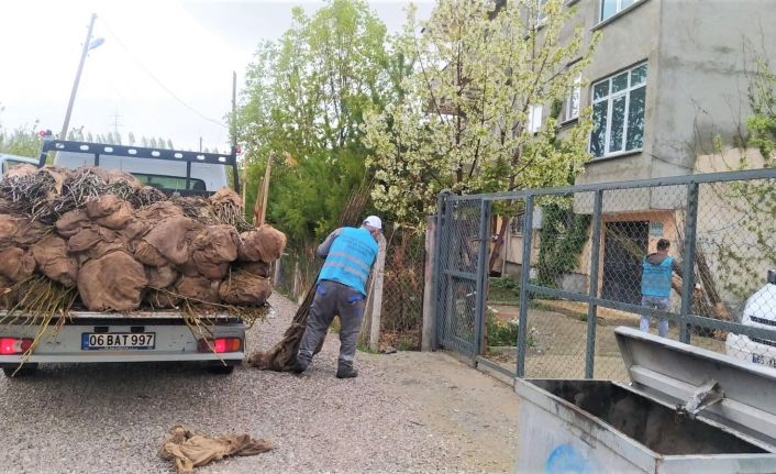 Edremit’te üreticilere ceviz fidanı dağıtımı