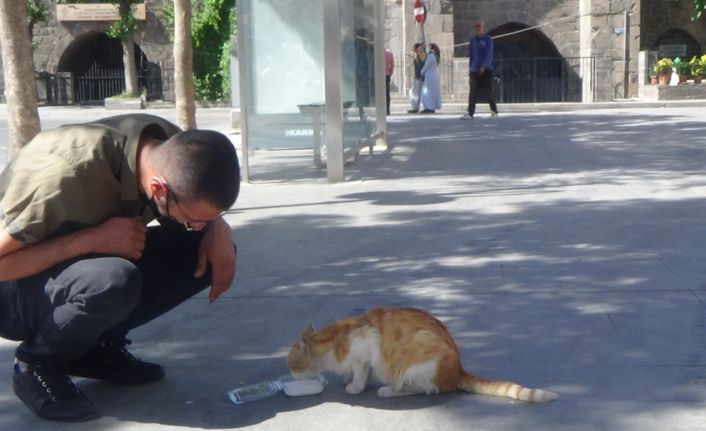 Esnaf ve vatandaşlar sokak hayvanlarını yalnız bırakmadı