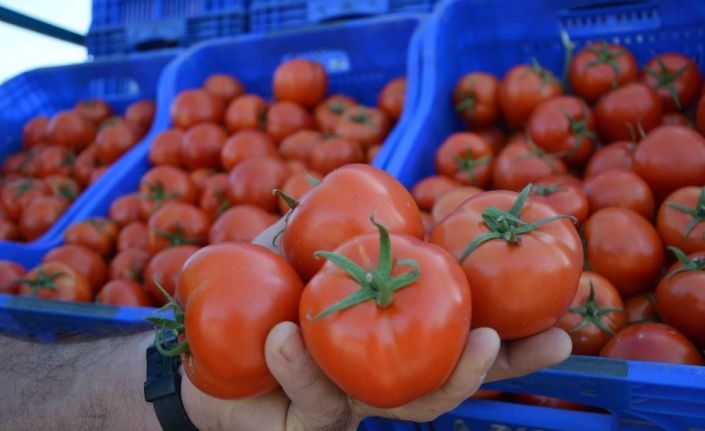 Fiyatı en fazla artan ürün domates oldu