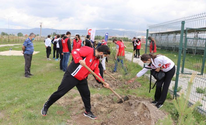 Gençlik Haftası’nda fidan dikim etkinliği