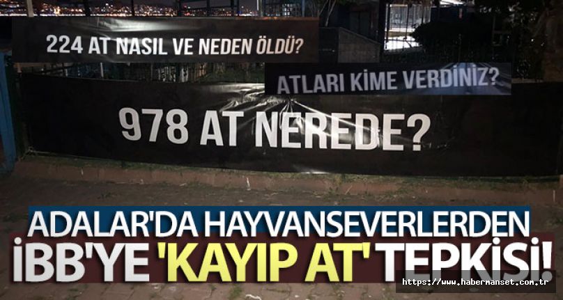 Hayvanseverlerden İBB'ye ''  978 At nerede ?''
