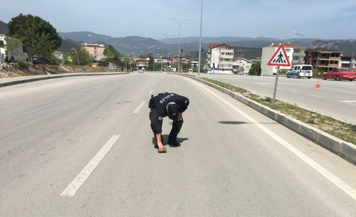 Karayolunu geçmeye çalışan kaplumbağaya polis yardım etti