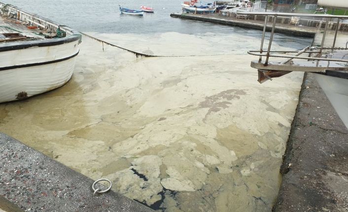 (Özel) Marmara Denizi salya kıskacında