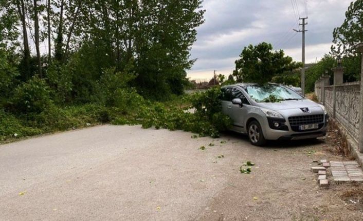 Sağanak yağış sonrasında aracın üzerine ağaç devrildi