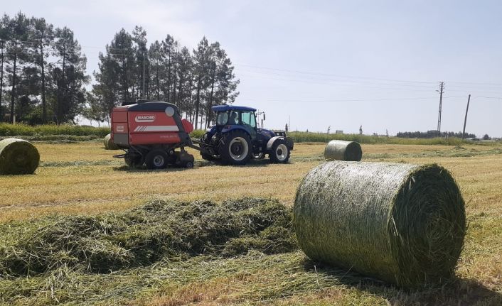 Samsat’ta modern tekniklerle yem bitkileri üretiliyor