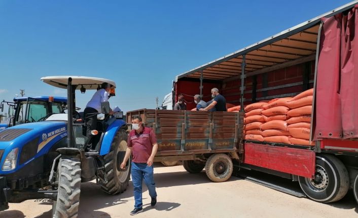 Silifke’de çeltik üreticisine tohum desteği