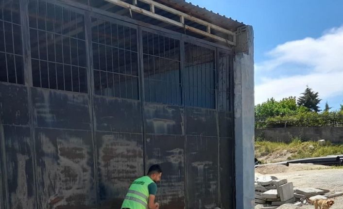 Silvan Belediyesi tam kapanmada da sokak hayvanlarını unutmadı