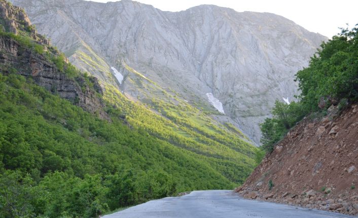 Şırnak’ta karlar eridi doğa yeşile büründü