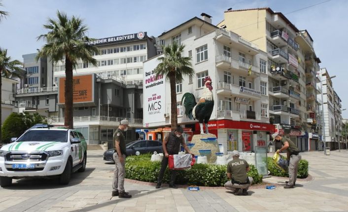 Tam kapanma sürecinde sokak hayvanlarını polis unutmadı