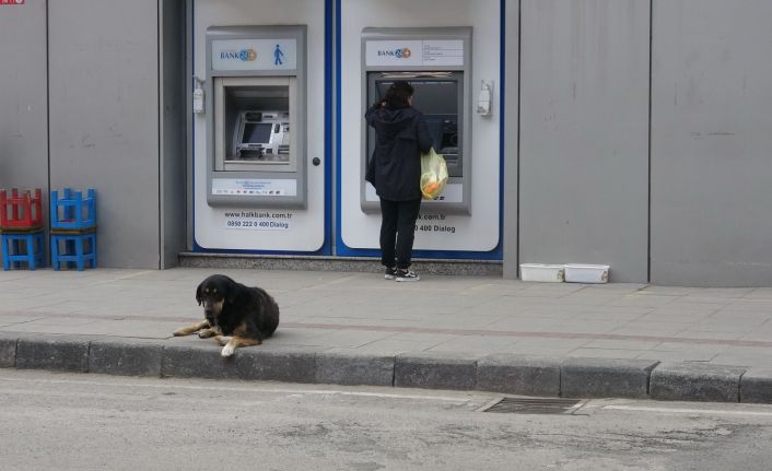 Zonguldak’ta sessizlik hakim