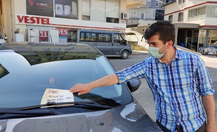 Aracın motor bölümünde sıkışan kedi için not bıraktı