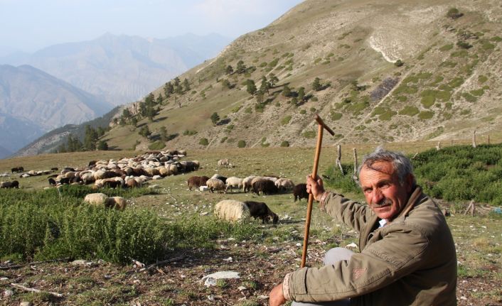 Çoban üretim için yol istedi