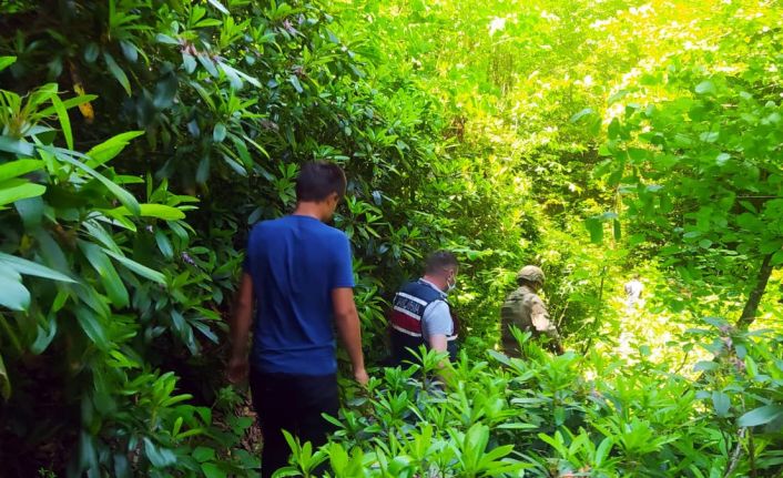 Gümüşhane’deki kayıp şahsı arama çalışmaları devam ediyor