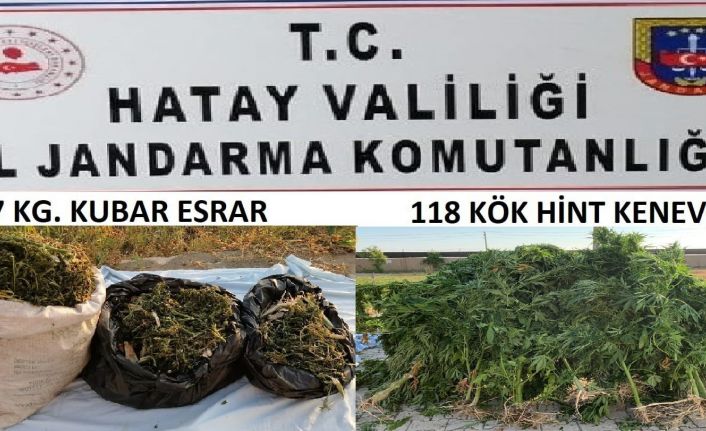 Samandağ’da jandarmadan uyuşturucu operasyonu