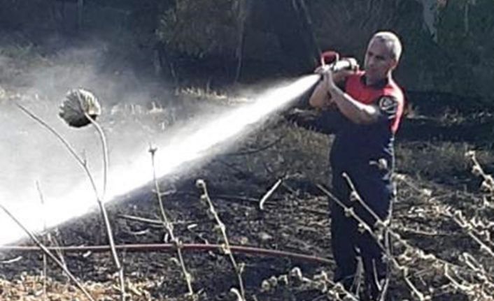 Ateş savaşçılarının hızlı müdahalesi, zeytin ağaçlarını korudu