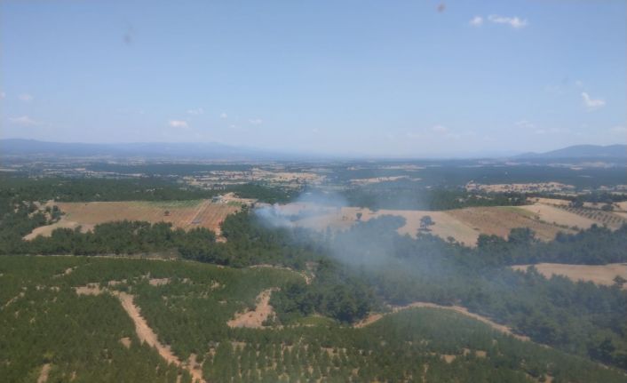 Çanakkale’de orman yangını