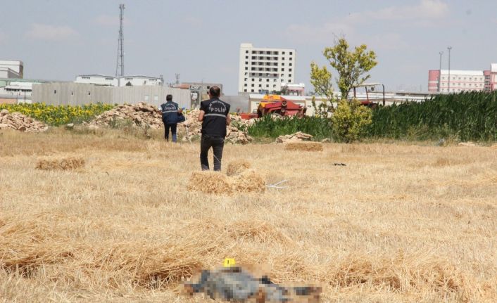 Cesedi tarlada bulunan işçinin traktörü çalışır vaziyette taşa takıldı