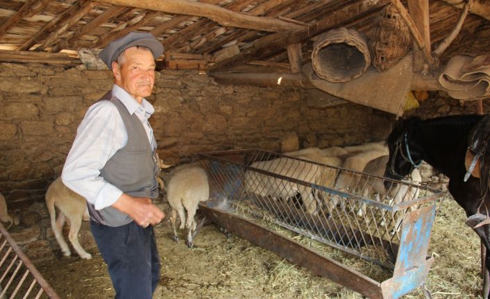 Efeler diyarının son Yörüğü atından ve koyunlarından vazgeçemiyor