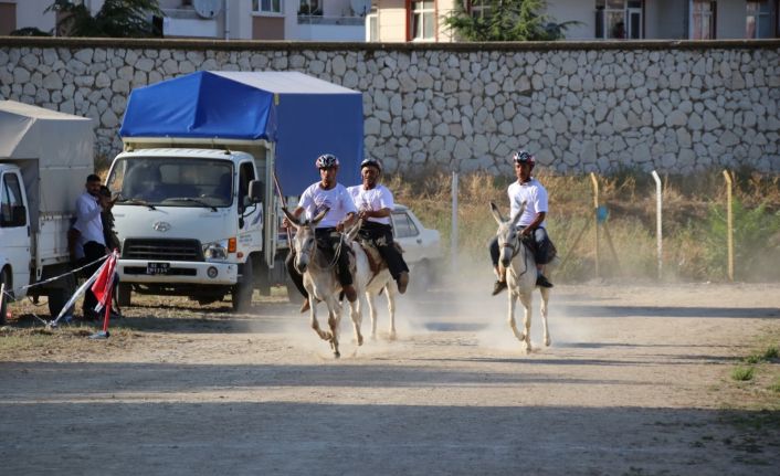 En hızlı ve en güzel gözlü eşek yarışları yapıldı