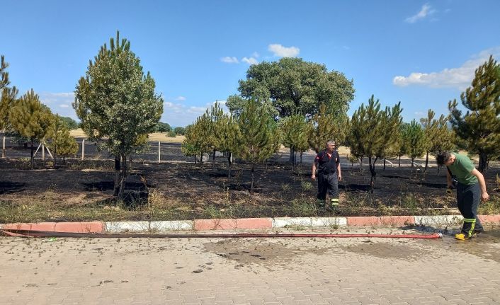 Gediz Organize Sanayi Bölgesinde 2 dekarlık otluk alan yandı