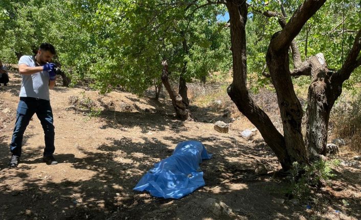 Hatay’da bahçesine kayısı toplamaya giden yaşlı adam ölü bulundu