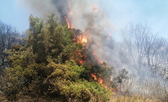 İzmir’deki yangında korku dolu anlar