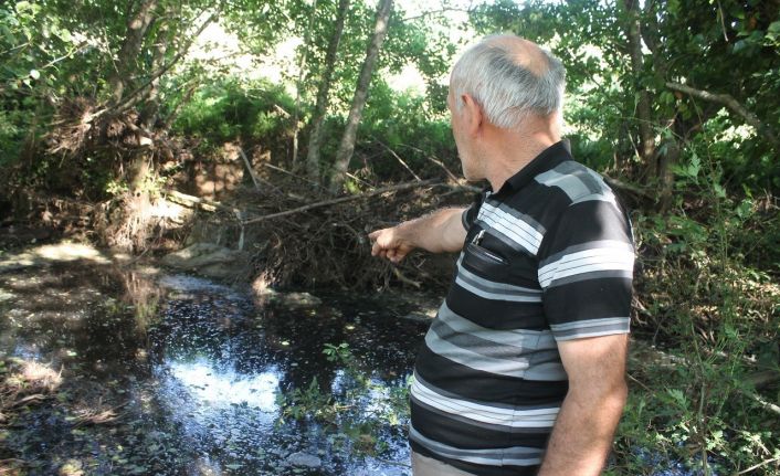 Manyas’ta derelerde kirliliğin önü alınmıyor