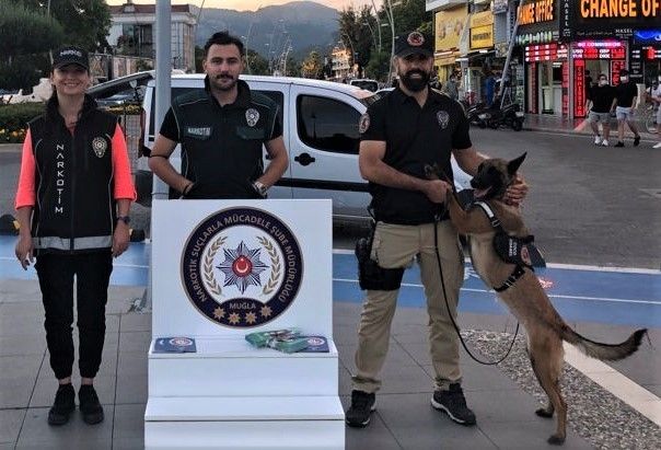 Narkotik Köpeği ’Coco’ Haziran ayının ’en başarılısı’ oldu