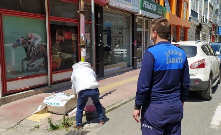 Şehre inen arılara zabıta ekipleri müdahale etti