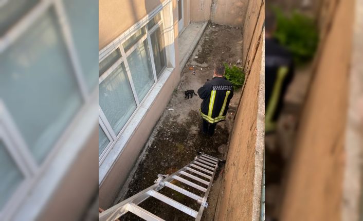 Apartman boşluğunda mahsur kalan kedi itfaiye ekiplerince kurtarıldı