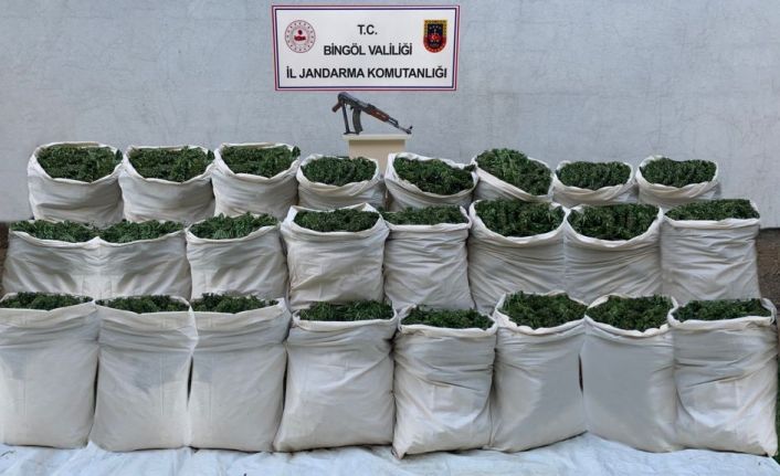 Bingöl’de 665 kilo esrar, 10 bin kök kenevir ele geçirildi