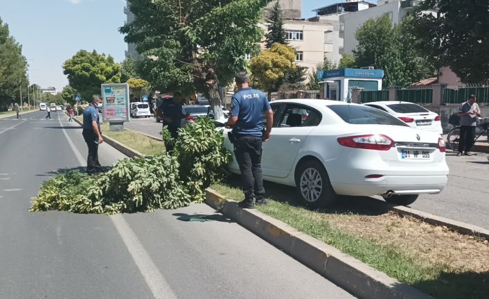 Direksiyon başında kalp krizi geçiren öğretim görevlisi hayatını kaybetti