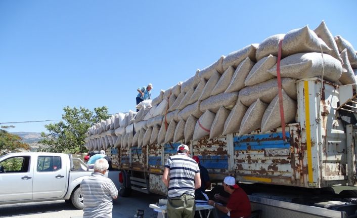 Emet ve Hisarcık’ta haşhaş kapsülü alımları tamamlandı