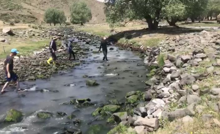 Kars’ta balık tutmak için dereye koştular