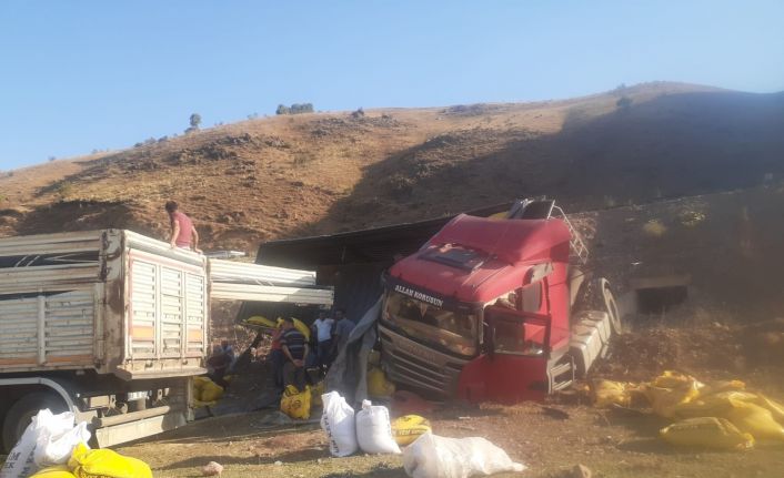 Kontrolden çıkan tır devrildi, yemler savruldu