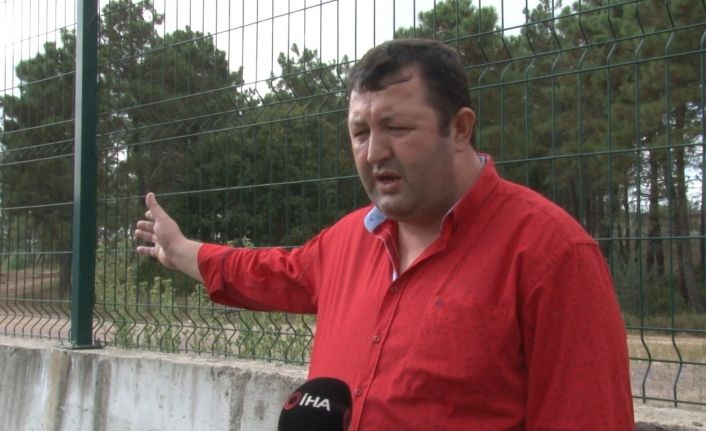 Mahalle muhtarından İBB’ye tepki: “Onlarca hayvanın açıkta kalmış cesetleri buradaydı”