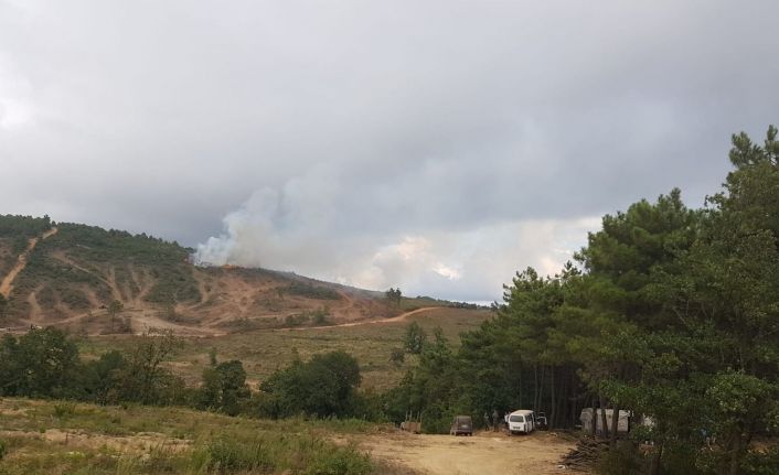 Pendik’te orman yangınına havadan ve karadan müdahale