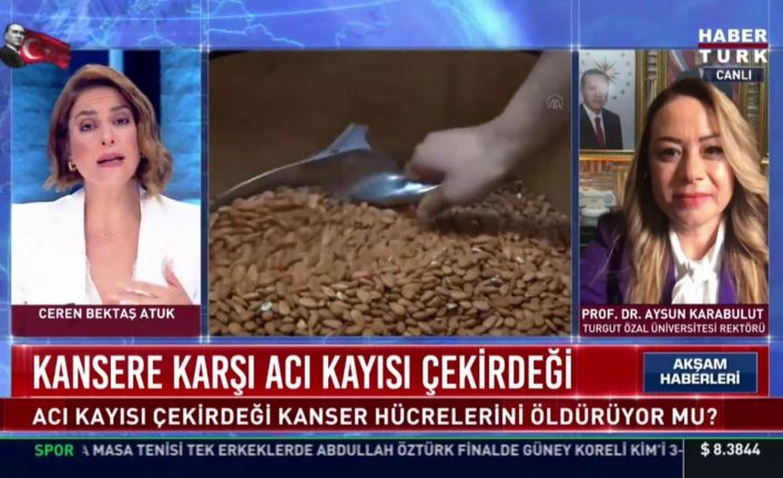 Rektör Karabulut, acı kayısı çekirdeğinin kanser hücrelerine etkisini anlattı