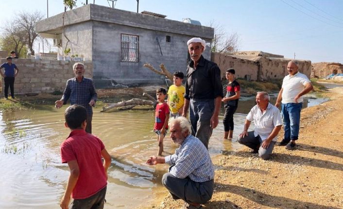 Şanlıurfa’da iki mahalle su altında kaldı