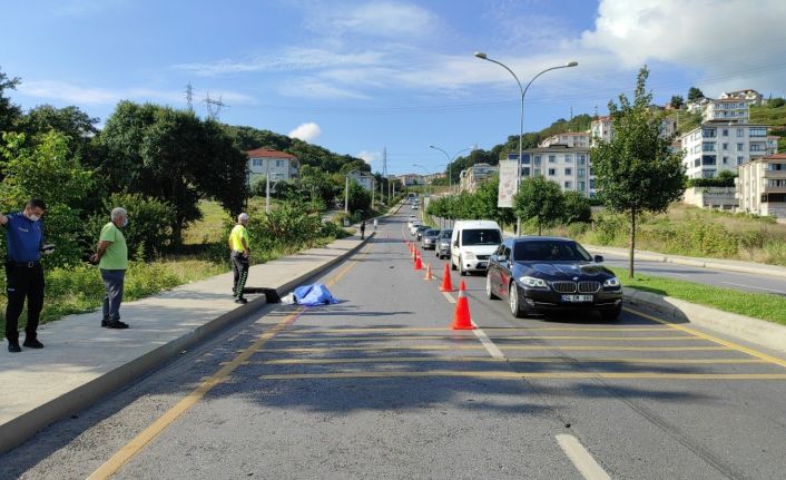 Yolun karşısına geçmek isteyen yaşlı adama kamyonet çarptı