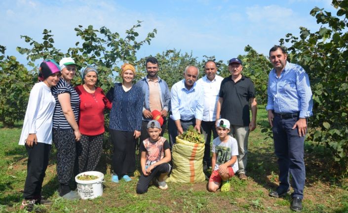 Fındık bahçelerinde ’orman arazisi’ sorunu