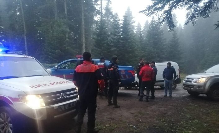Onlar mantar bulmak için ekipler de onları bulmak için uğraştı