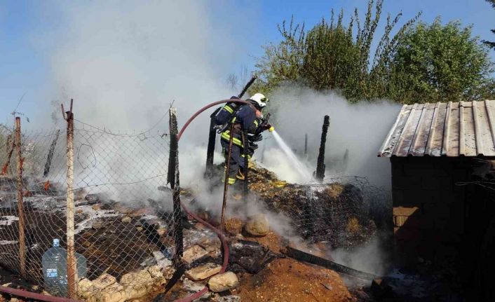 Antalya’da saman dolu ağılda yangın: 15 koyun telef oldu