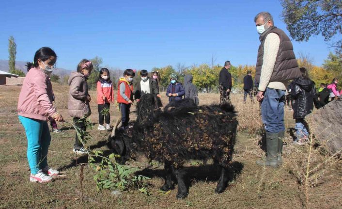 Erzincan’da minik öğrenciler çiftlikteki doğal yaşamı yerinde gördü