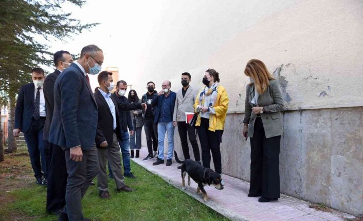 Hitit Üniversite’sinde ’Köpek Evi’ projesi hayata geçirildi