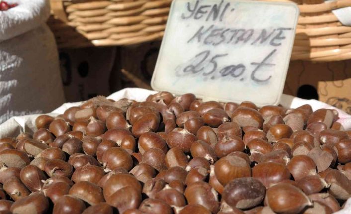 Kestane Eskişehir’deki tezgahlarda yerini aldı