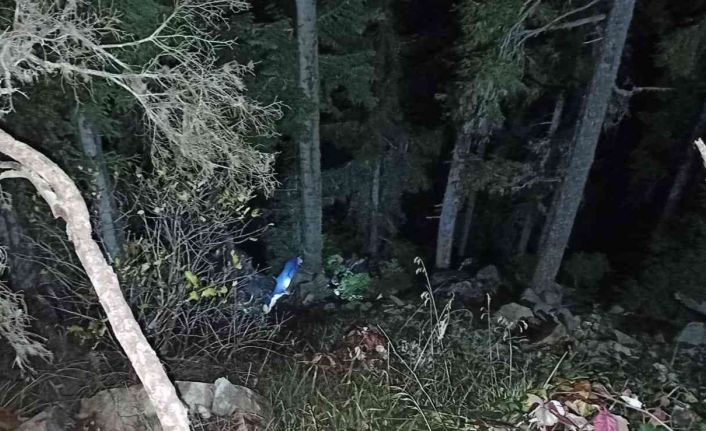 Odun keserken uçuruma düşen kişi kurtarıldı